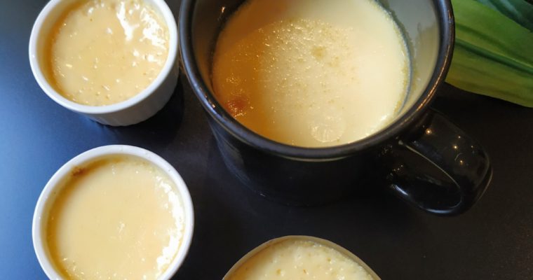 Recipe for Caramel Pudding in a Mug